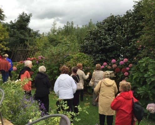 Busy Lizzie Huis- en Tuinbouklub