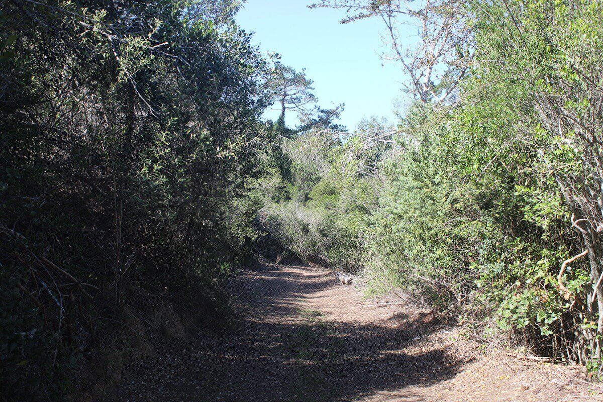Forest Nature Spa. Plettenberg Bay- Garden Route and Klein Karoo (3)