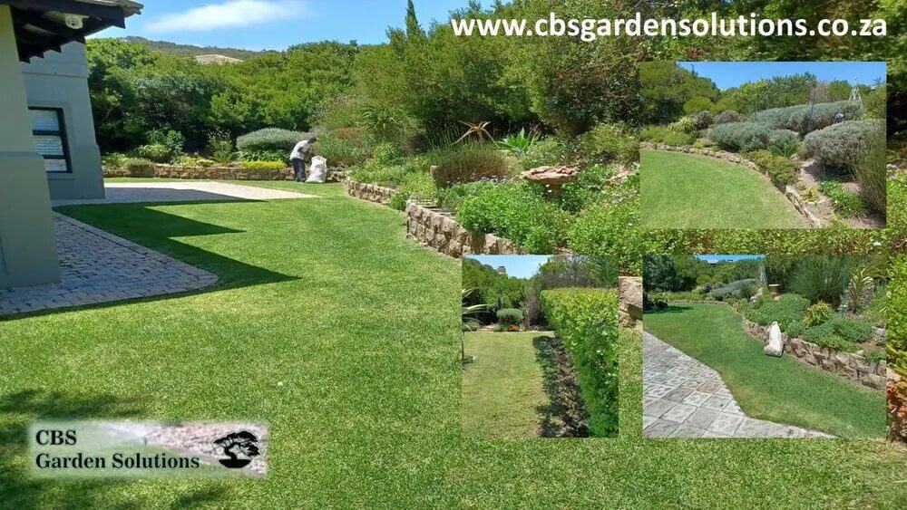 CBS-Garden-Solutions-in-Mossel-Bay-Area